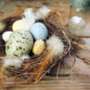BIRRD’S NEST DECOR | 鳥の巣のオブジェ | 装饰的鸟巢