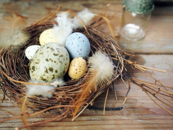 BIRRD’S NEST DECOR | 鳥の巣のオブジェ | 装饰的鸟巢