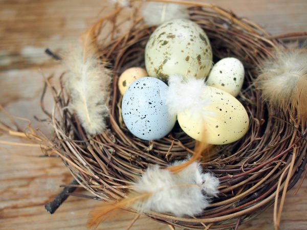 BIRRD’S NEST DECOR | 鳥の巣のオブジェ | 装饰的鸟巢